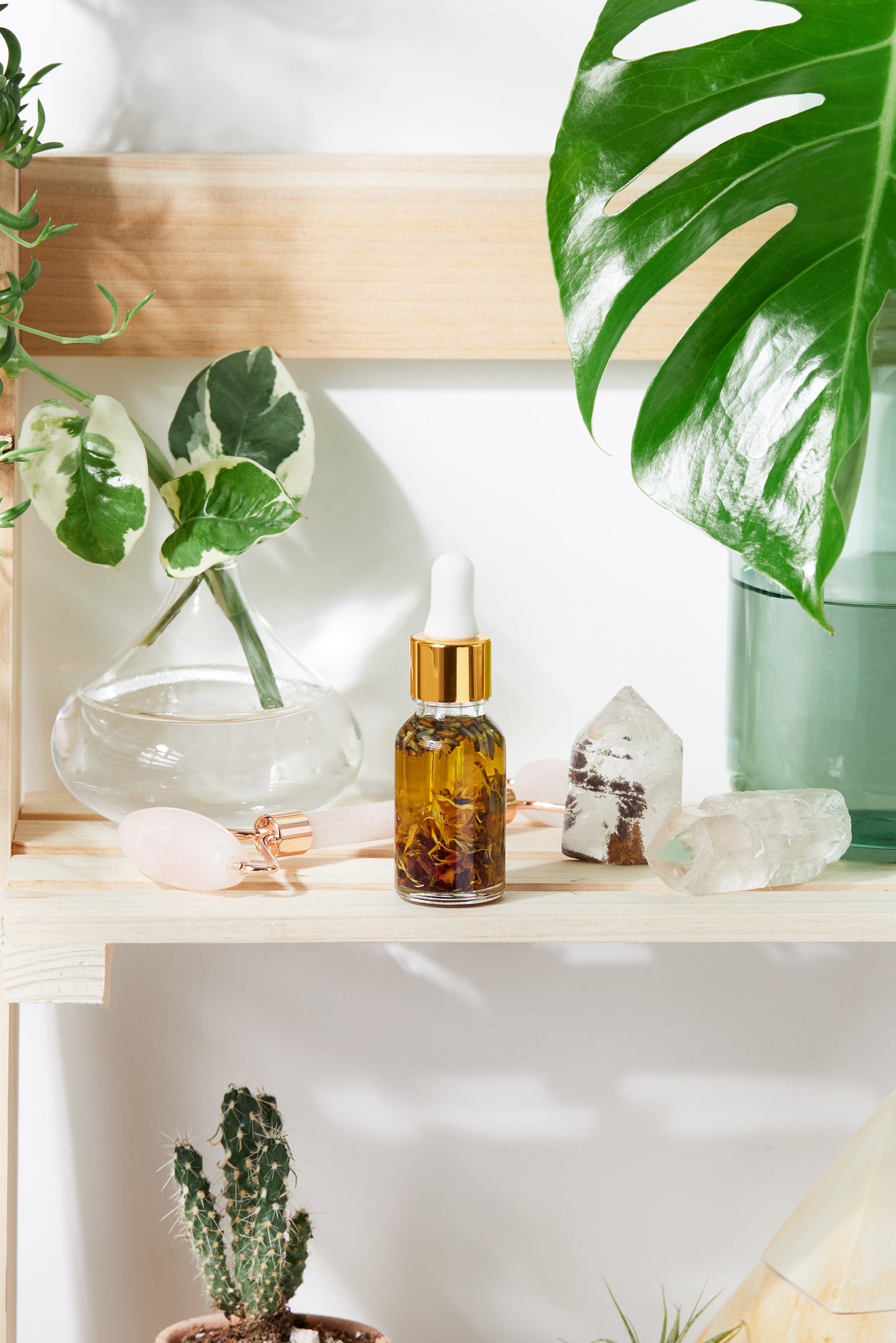 Anti Aging / Youth Serum / Facial Serum /